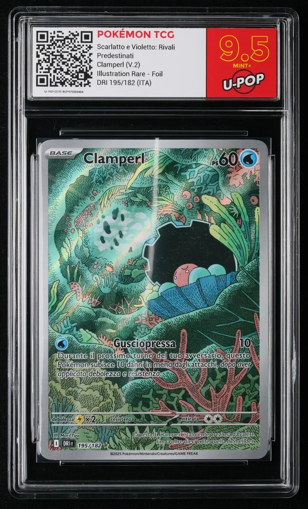 Clamperl (V.2) – Fronte