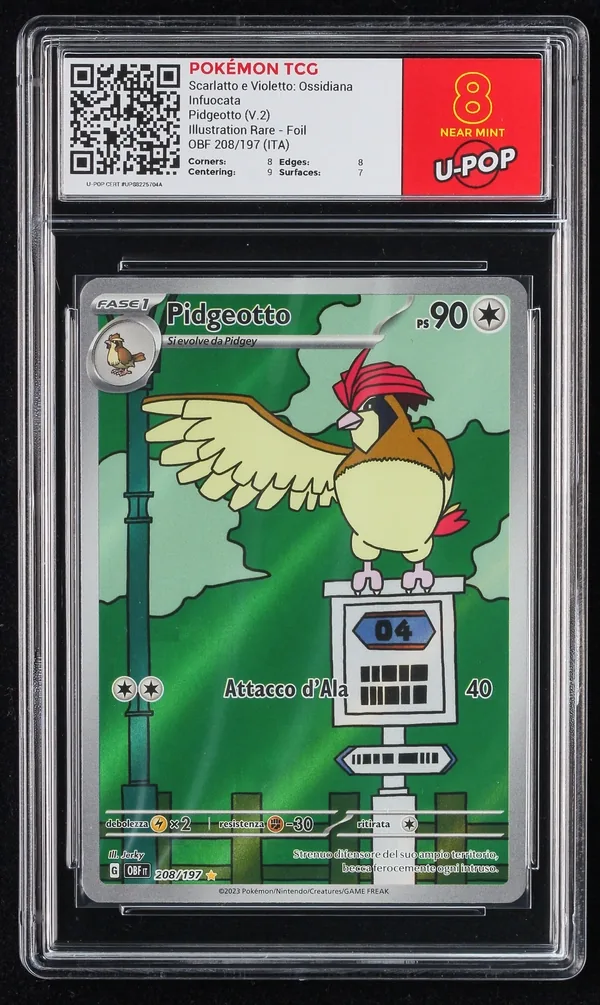 Pidgeotto (V.2) – Fronte