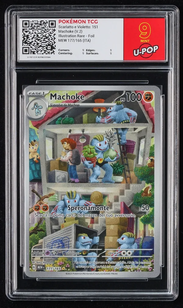 Machoke (V.2) – Fronte