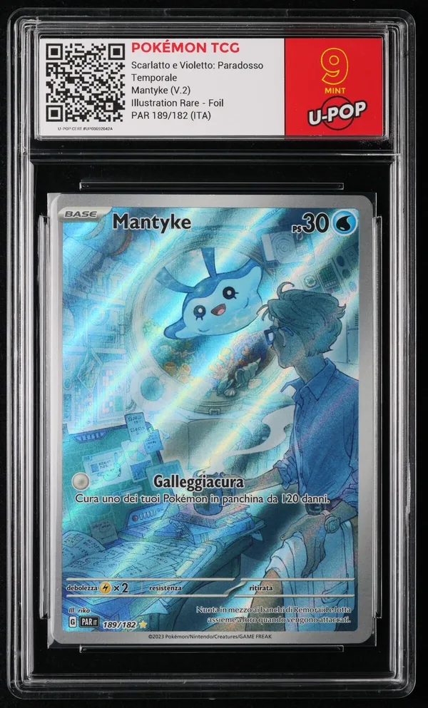 Mantyke (V.2) – Fronte